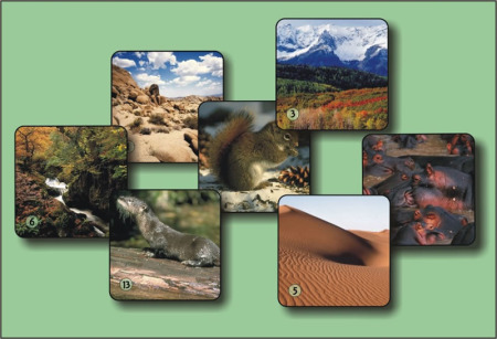 landschaften-und-tiere-1
